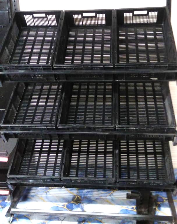 Vegetable & Fruits Display Rack